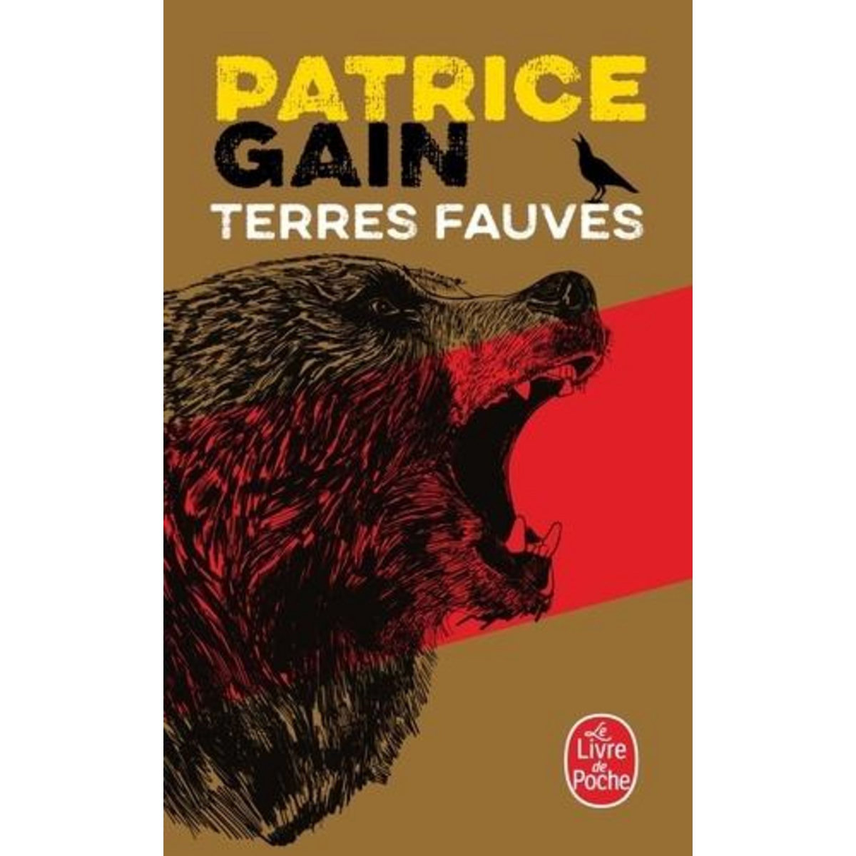 TERRES FAUVES, Gain Patrice