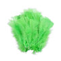 Voir la diapositive 1 : Paris Prix Lot de 35 Plumes Décoratives  Sensa  16cm Vert