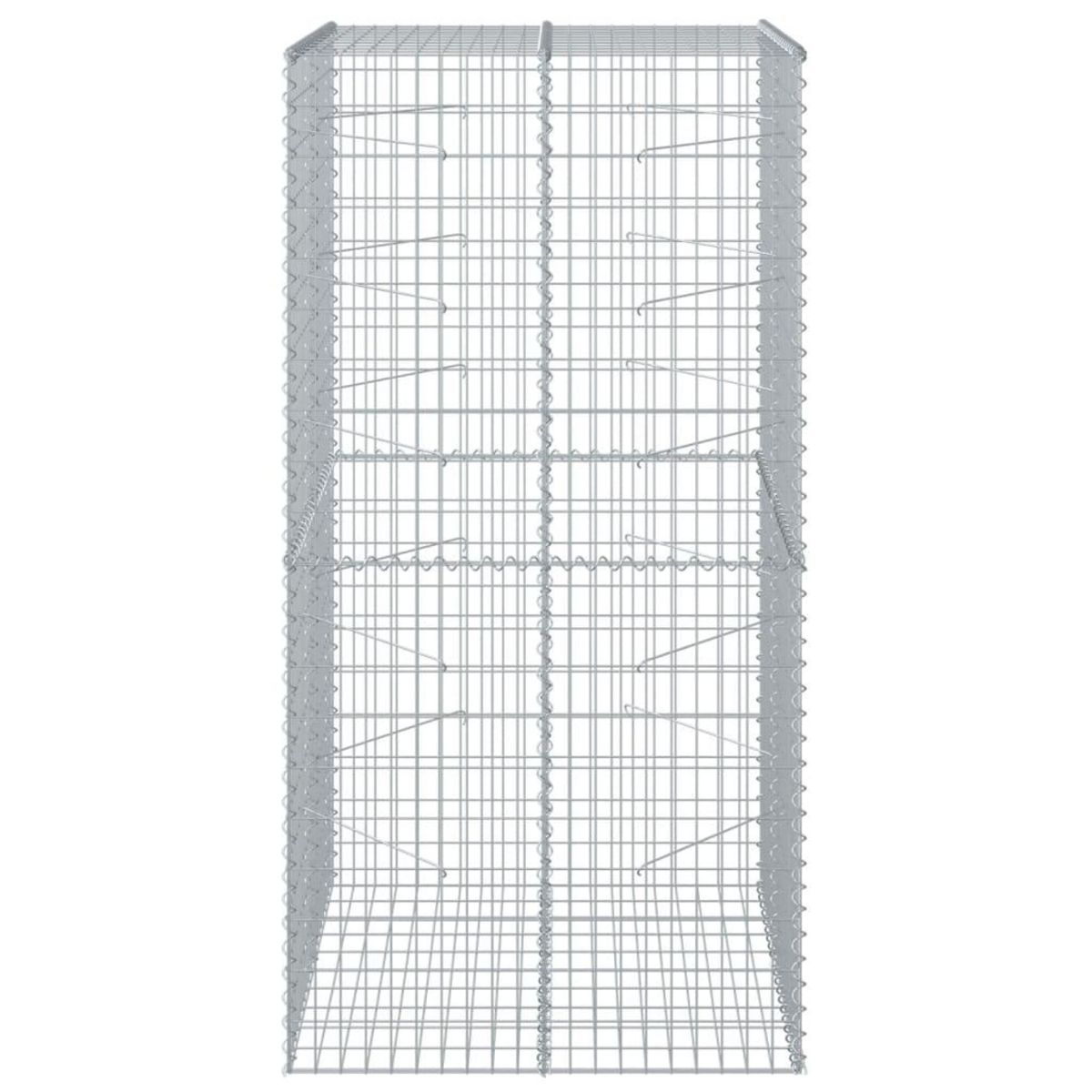 VIDAXL Panier gabion avec couvercle 100x100x200 cm fer galvanise