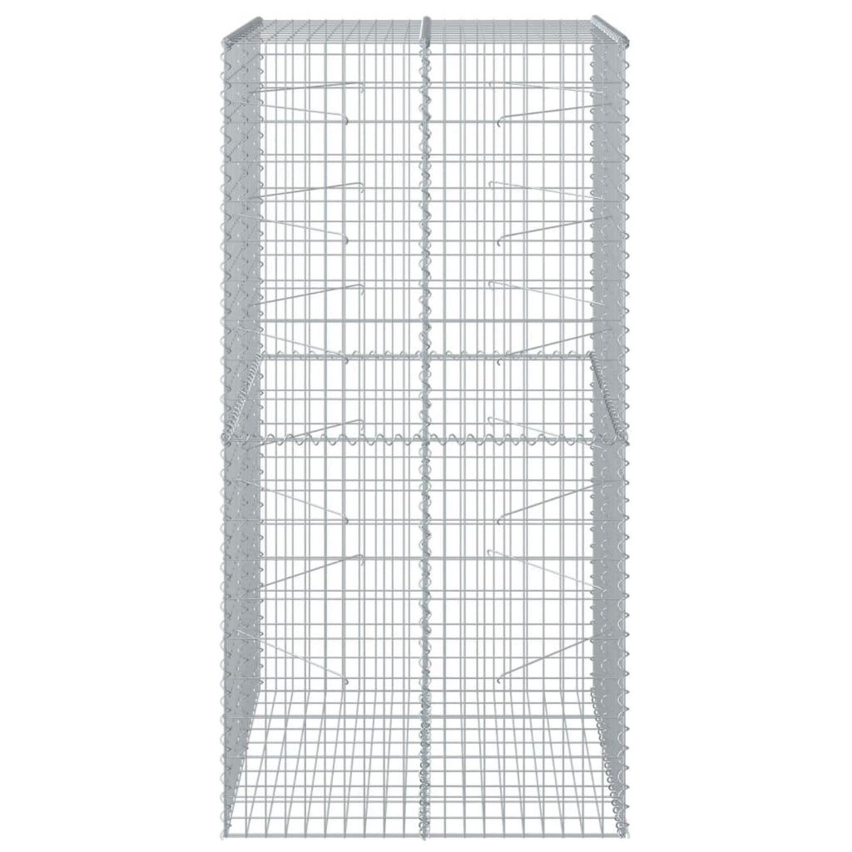 VIDAXL Panier gabion avec couvercle 100x100x200 cm fer galvanise