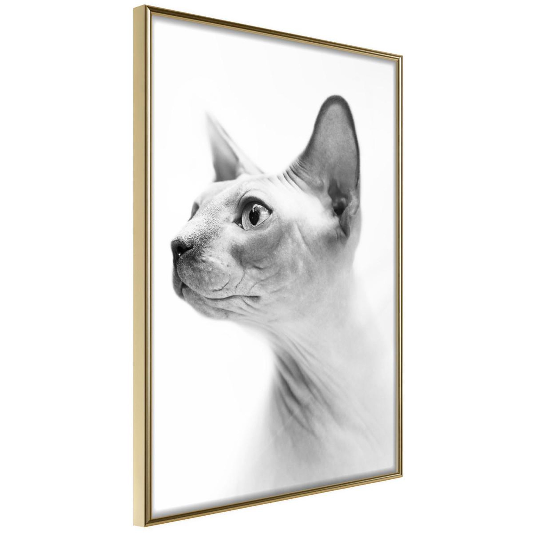 Paris Prix Affiche Murale Encadrée  Sphinx