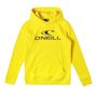 Voir la diapositive 1 : O'NEILL Sweat  Garçon O'Neill N4750004