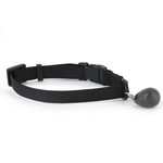 PETSAFE PetSafe Cle magnetique de collier 480 Noir 5007