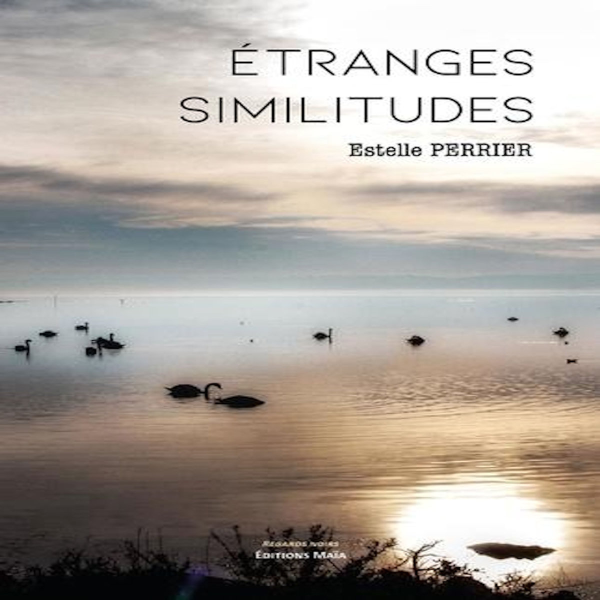 ETRANGES SIMILITUDES, Perrier Estelle