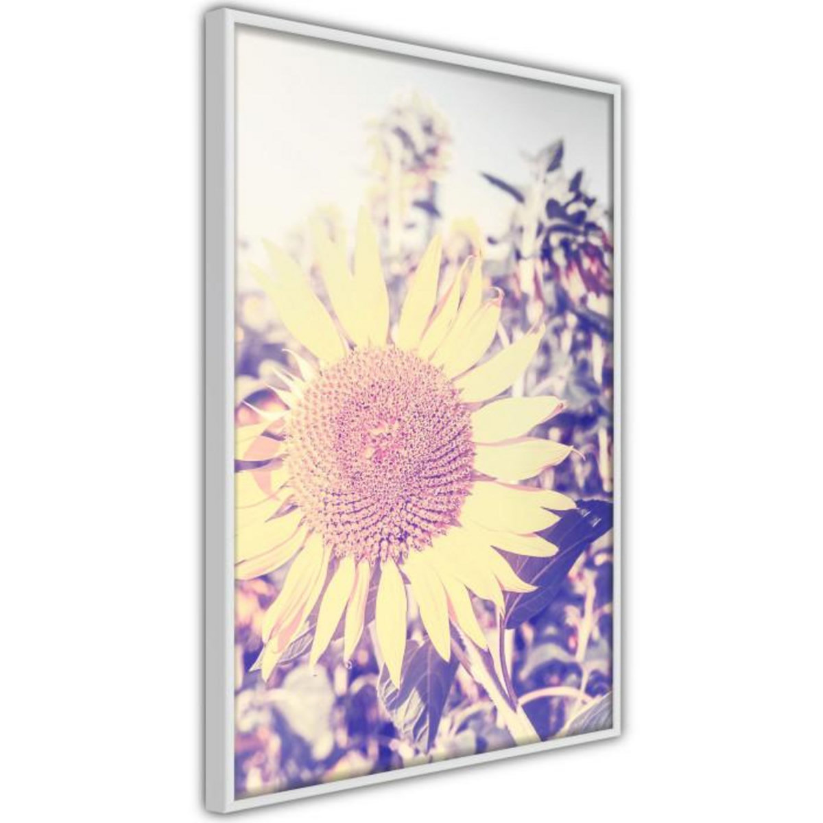 Paris Prix Affiche Murale Encadrée  Facing the Sun