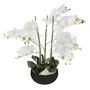 Voir la diapositive 1 : ATMOSPHERA Fleur Artificielle Pot Ciment  Orchidée  65cm Noir