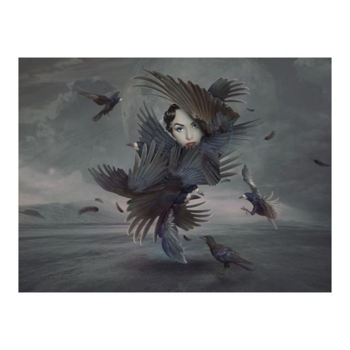 Paris Prix Papier Peint  Couverte de Plumes