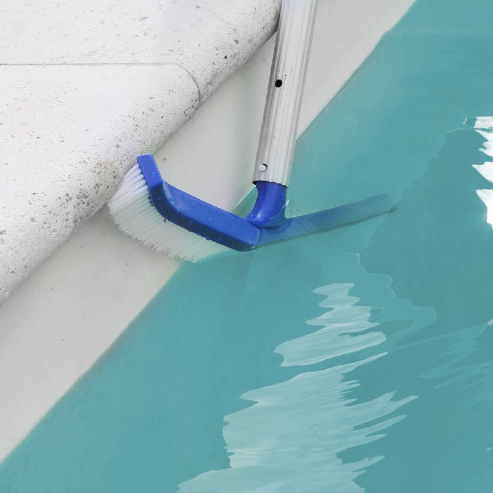 Voir la diapositive 3 : LINXOR Tête de brosse paroi 45 cm bleu pour piscine adaptable sur manche standard ou télescopique
