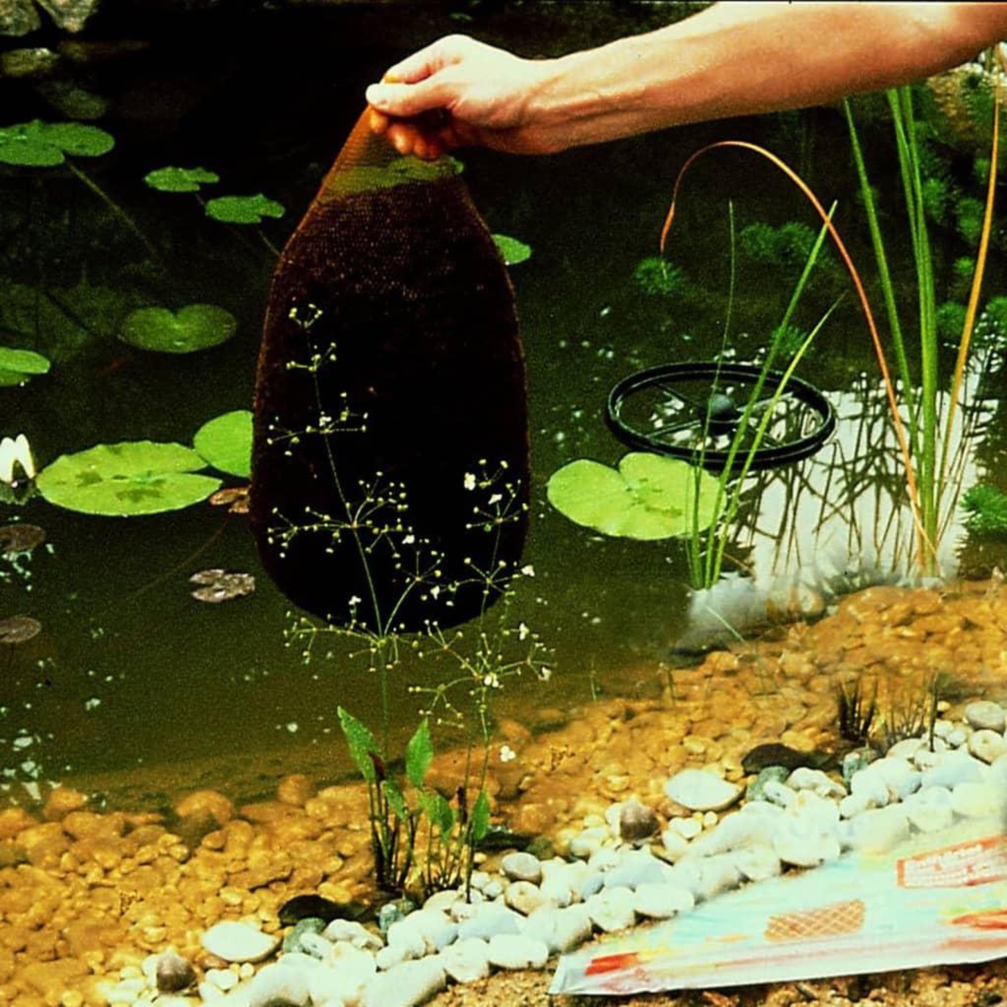 Voir la diapositive 5 : Ubbink Ubbink Tourbe pour bassin de jardin Aquavital 10 L