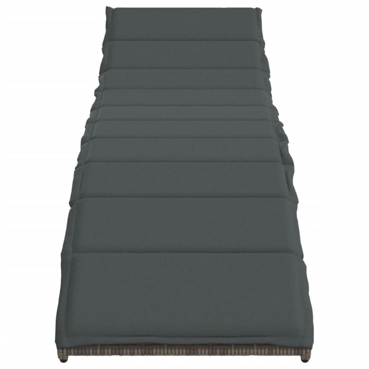 VIDAXL Chaises longues lot de 2 avec coussins gris resine tressee