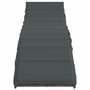 Voir la diapositive 4 : VIDAXL Chaises longues lot de 2 avec coussins gris resine tressee