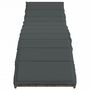 Voir la diapositive 4 : VIDAXL Chaises longues lot de 2 avec coussins gris resine tressee