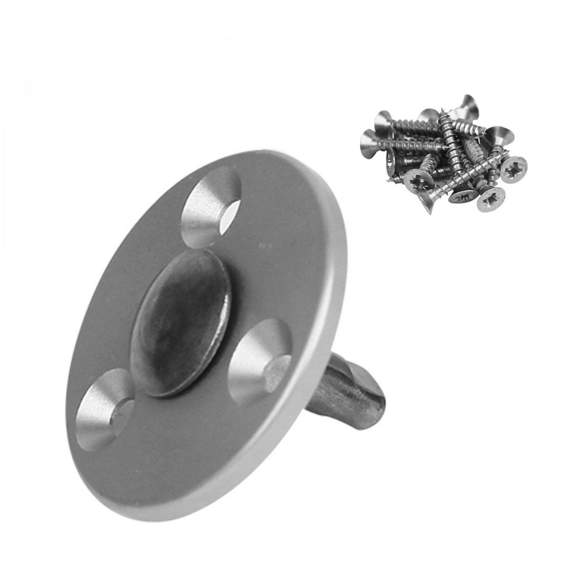 LINXOR Lot de 50 pitons télescopiques en inox pour plage en bois