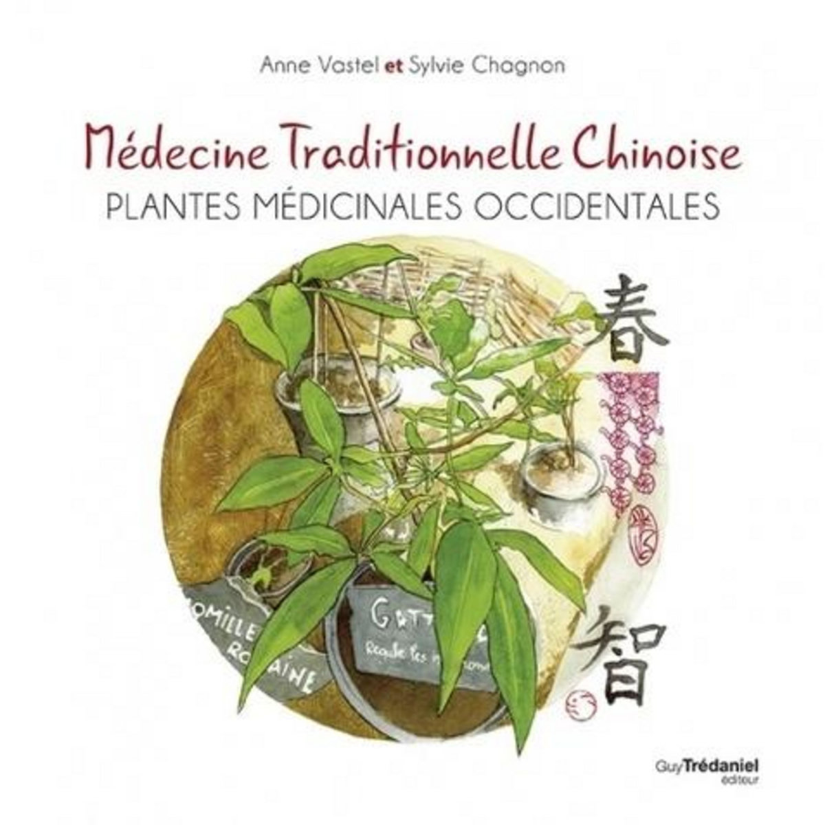 MEDECINE TRADITIONNELLE CHINOISE, PLANTES MEDICINALES OCCIDENTALES, Vastel Anne