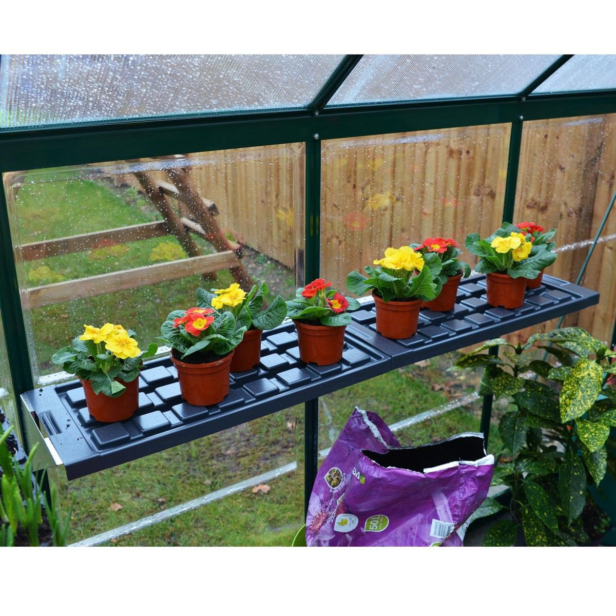 Canopia by PALRAM Lot de 2 étagères pour serre