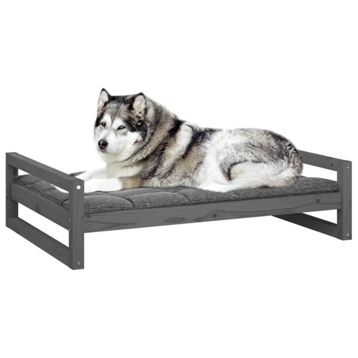 VIDAXL Lit pour chien Gris 105,5x75,5x28 cm Bois de pin solide