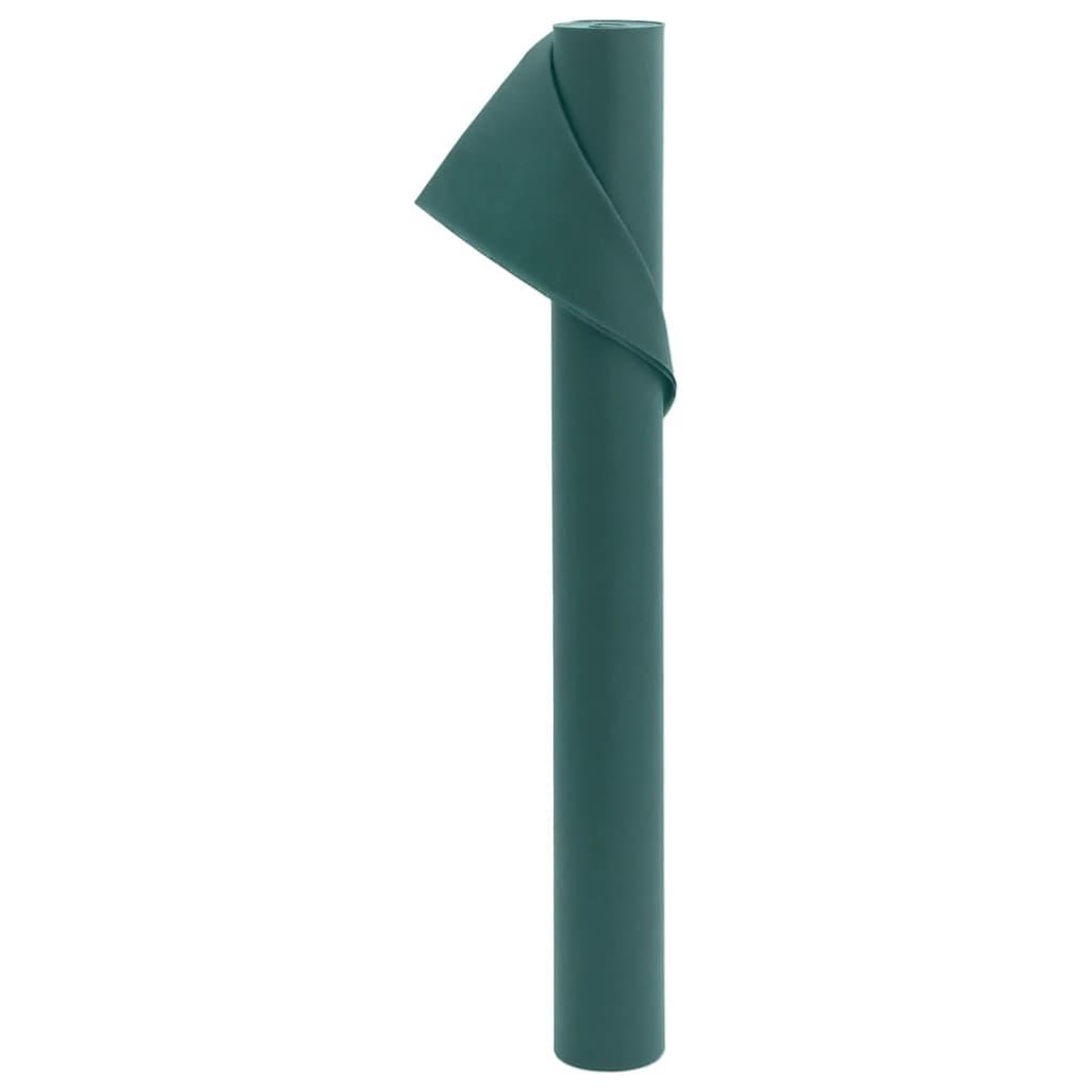 VIDAXL Toison vegetale 70 g/m² 10x1,6 m