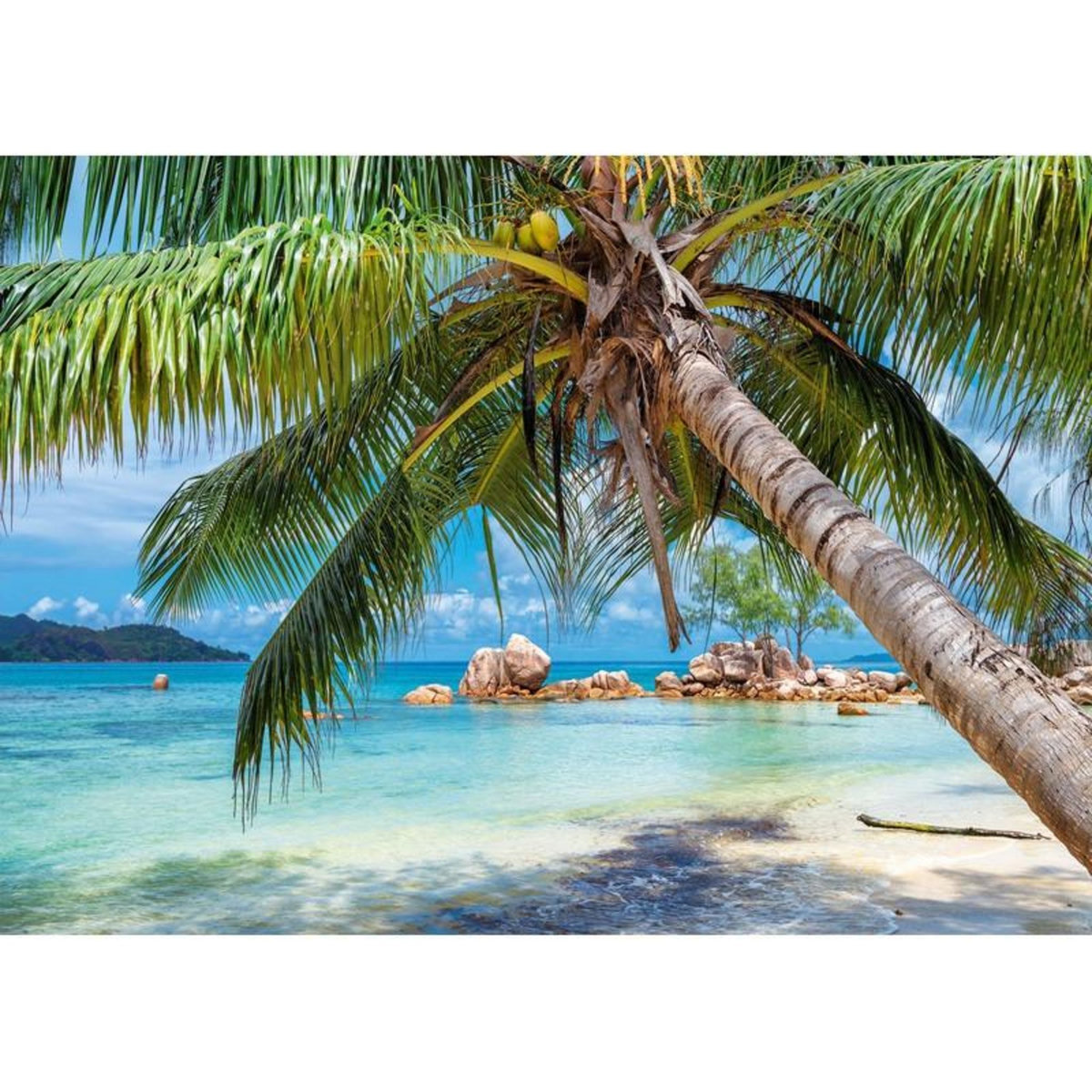 ALIZE Puzzle 1000 pièces Plage tropicale – Paysage exotique – Adulte – Alizé