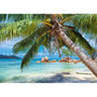 Voir la diapositive 2 : ALIZE Puzzle 1000 pièces Plage tropicale – Paysage exotique – Adulte – Alizé