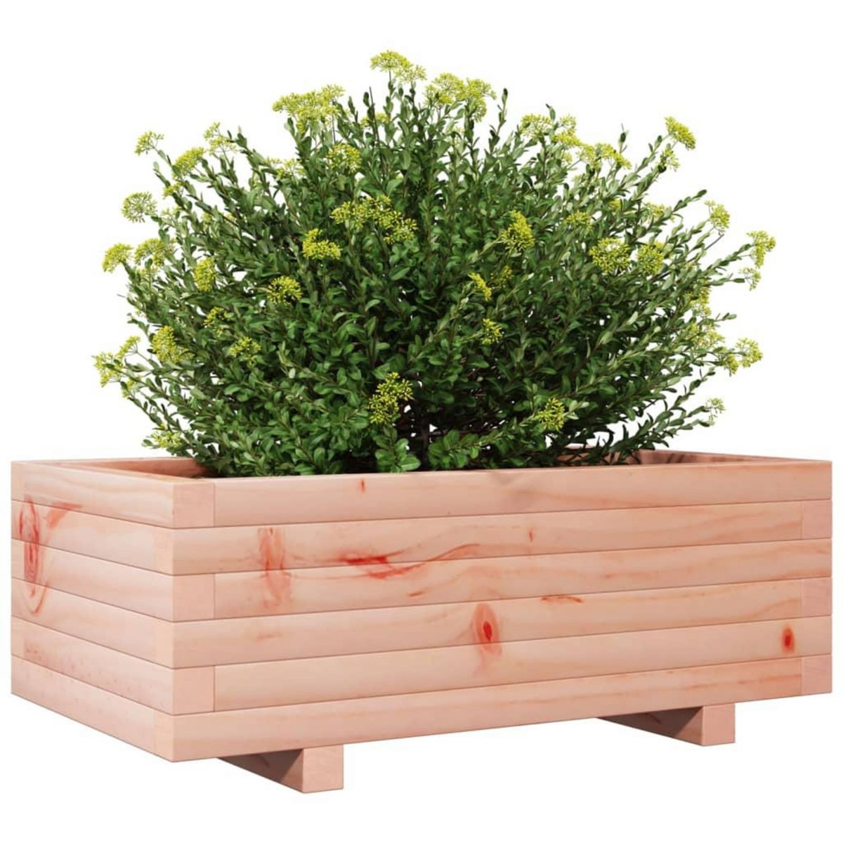 VIDAXL Jardiniere 70x40x26,5 cm bois massif douglas