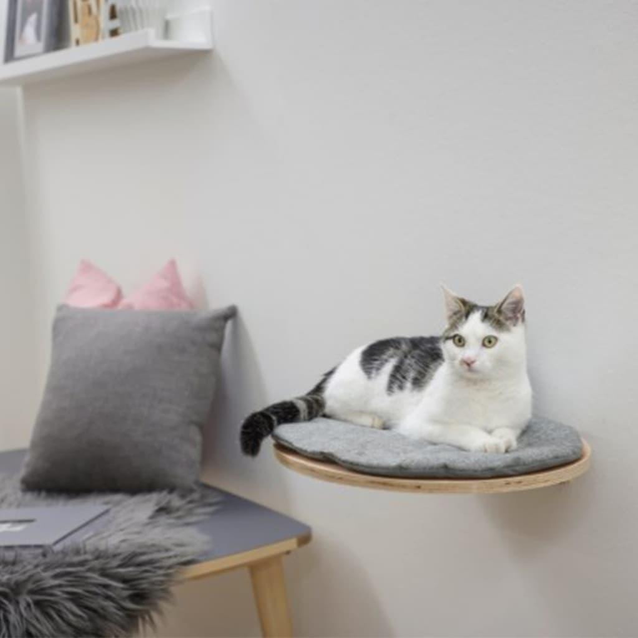Voir la diapositive 1 : KERBL Kerbl Lit pour chats mural Tofana 35 x 50 cm Gris 81543