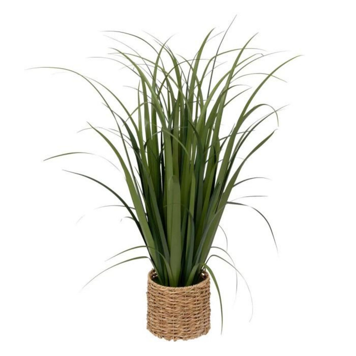 ATMOSPHERA Plante Artificielle Bunch de Lin  Zya  122cm Vert