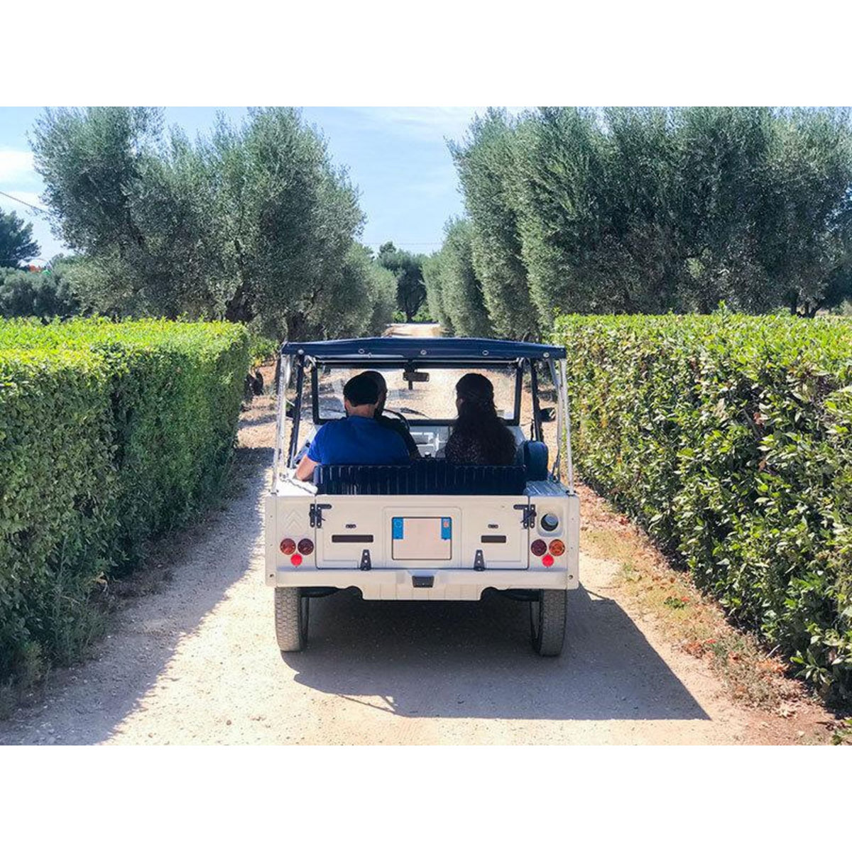 Smartbox Balade œnologique sur 3 communes classées AOC Bandol et dégustation de vins - Coffret Cadeau Sport & Aventure