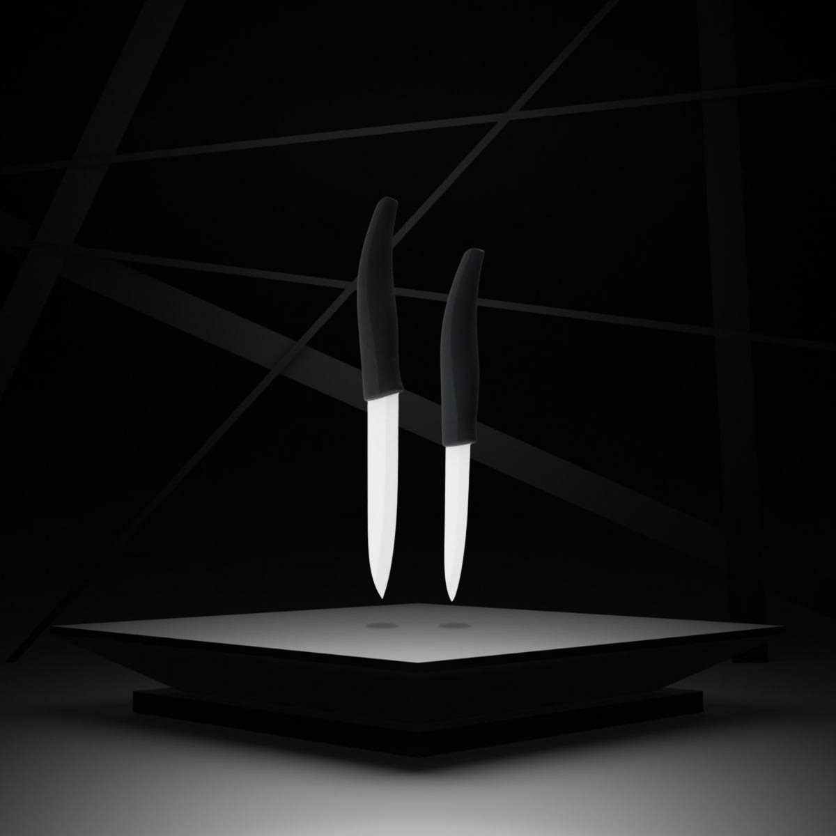 NIROSTA Lot de 2 couteaux avec lames en céramique de 12,5 et 18 cm de long Nirosta Céramique