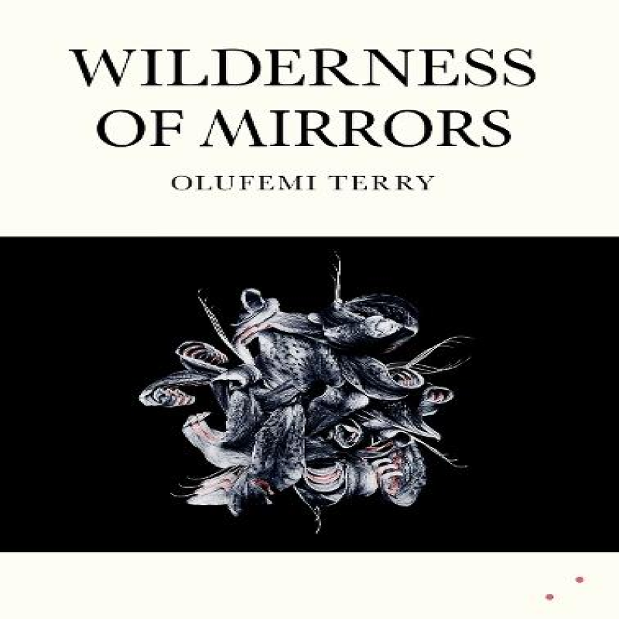 LIVRES Wilderness of Mirrors
