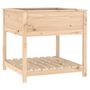 Voir la diapositive 2 : VIDAXL Jardiniere avec etagere 82,5x82,5x81 cm Bois massif de pin