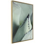 Voir la diapositive 1 : Paris Prix Affiche Murale Encadrée  Young Leaf of Agave