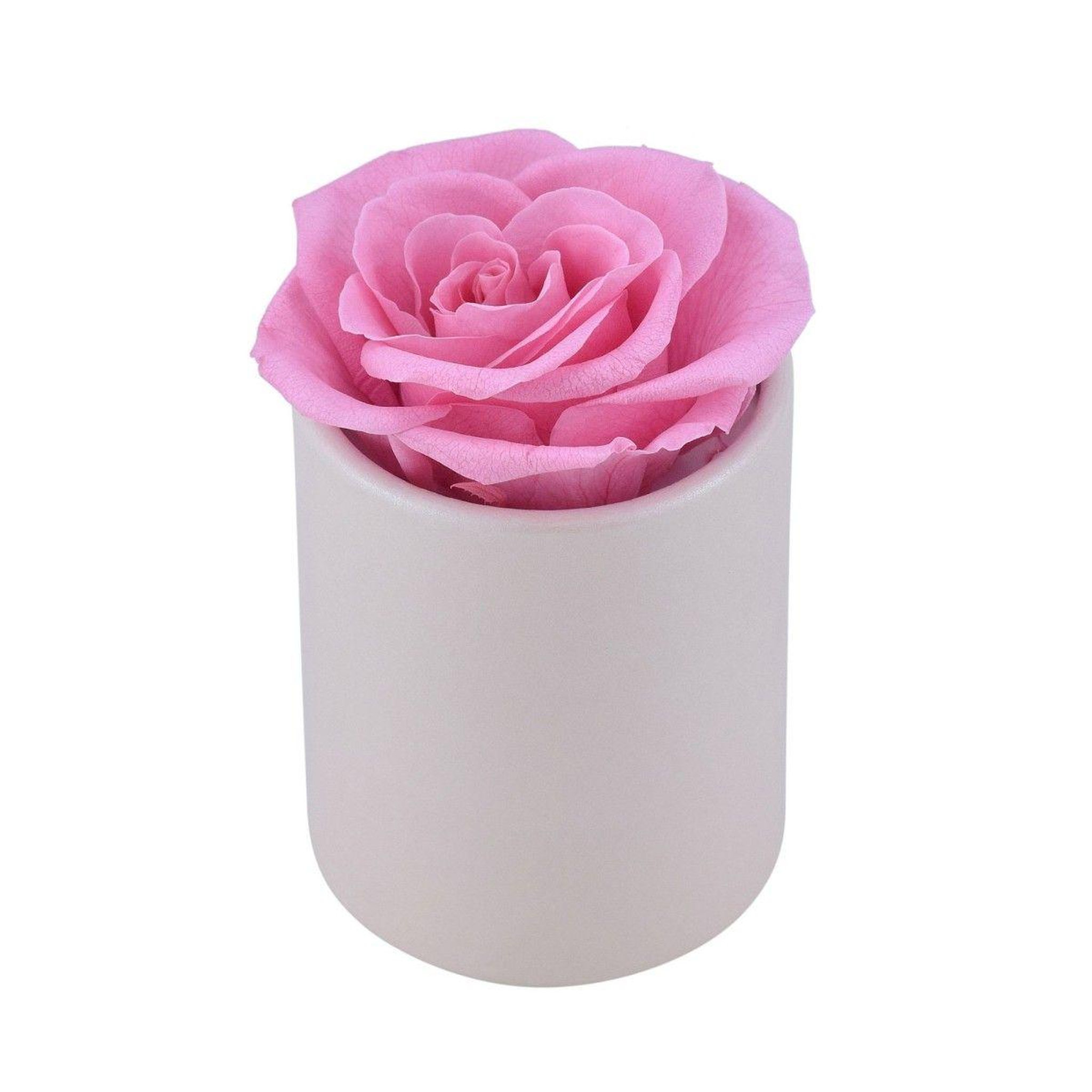 Voir la diapositive 2 : SC CRYSTAL Coffret rose éternelle - stabilisée