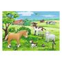 Voir la diapositive 2 : RAVENSBURGER RAVENSBURGER Young animals in the countryside, 2x12st.