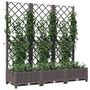 Voir la diapositive 3 : VIDAXL Jardiniere avec treillis Marron 120x40x121,5 cm PP