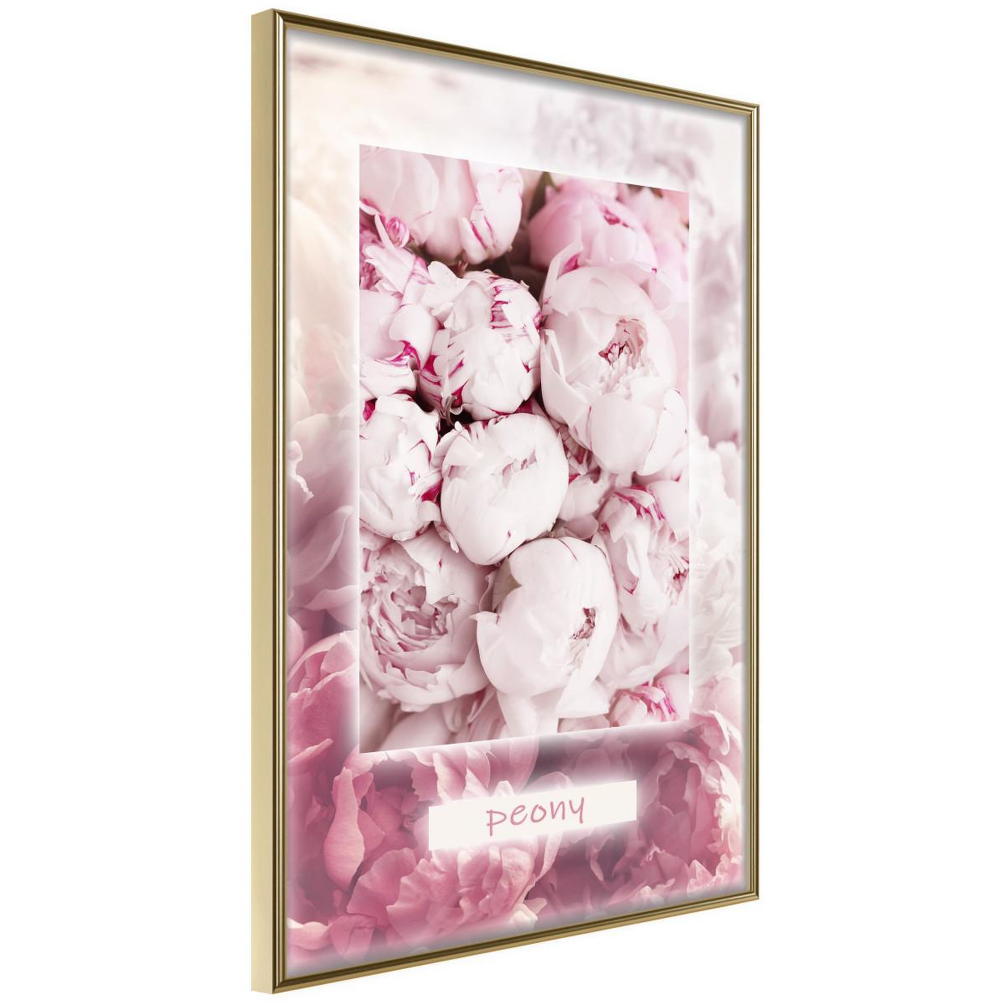 Paris Prix Affiche murale encadrée  scent of peonies