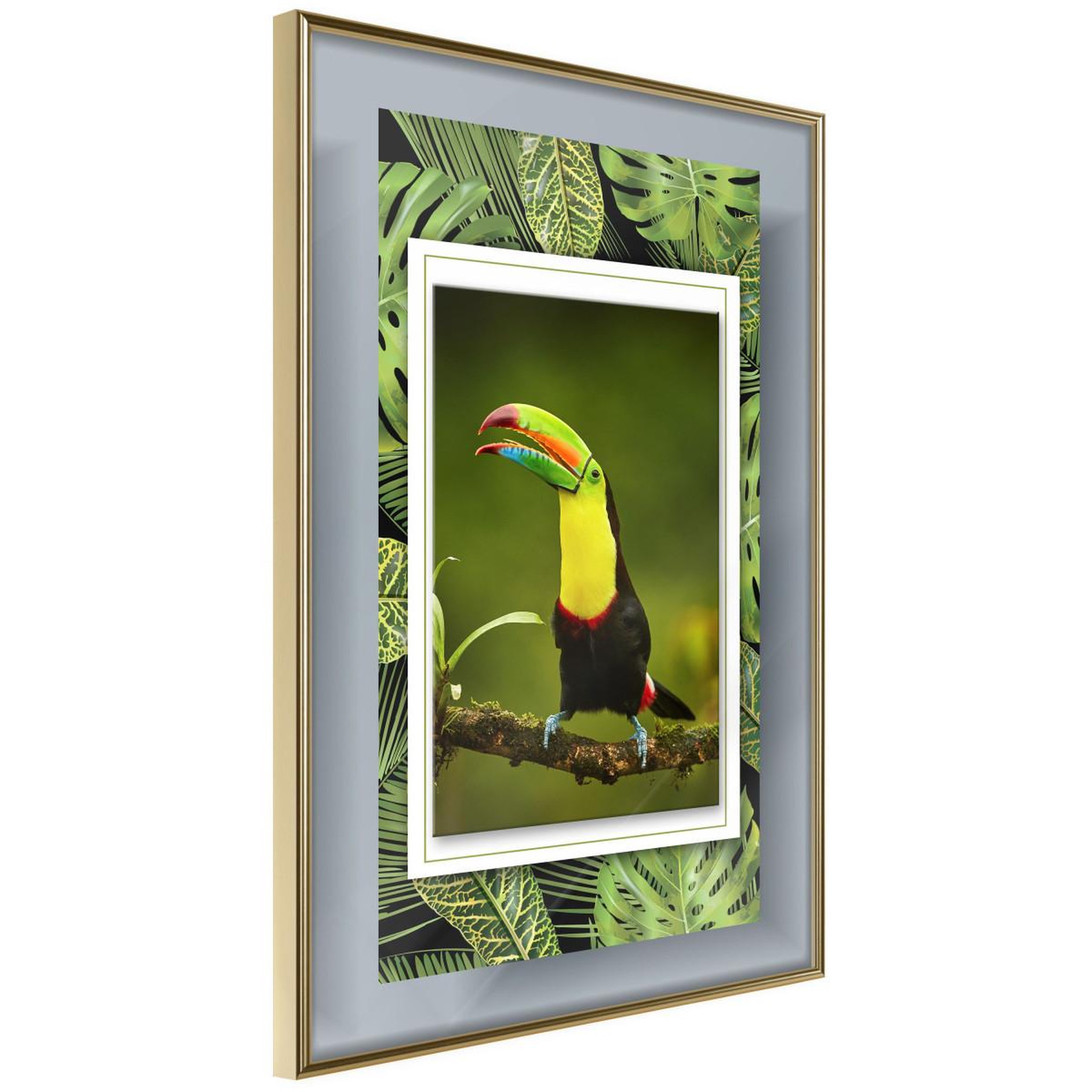 Voir la diapositive 1 : Paris Prix Affiche murale encadrée  toucan in the frame