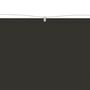 Voir la diapositive 3 : VIDAXL Auvent vertical Anthracite 180x1200 cm Tissu oxford