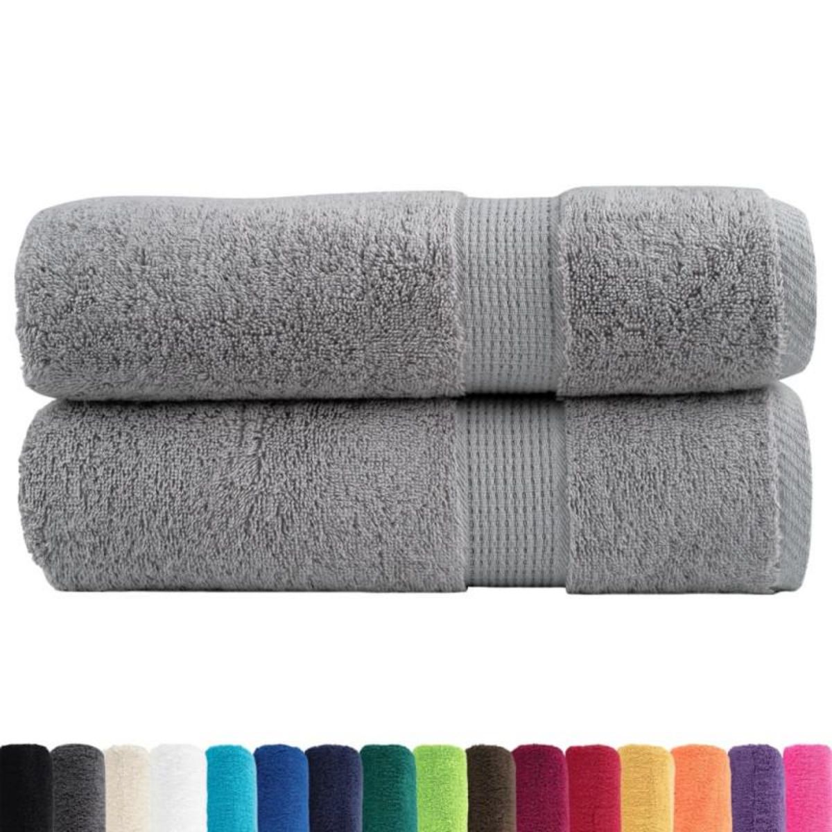 VIDAXL Serviettes de bain de qualité supérieure SOLUND 2 pcs gris