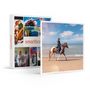 Voir la diapositive 1 : Smartbox Journée de balade, randonnée à cheval ou cours d'équitation - Coffret Cadeau Sport & Aventure