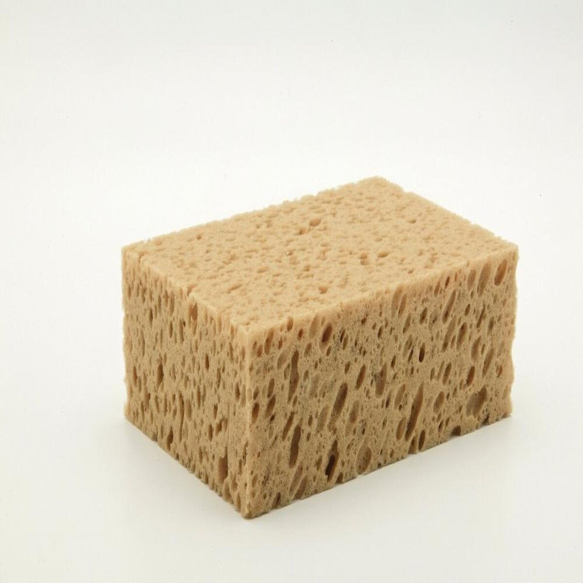 CENTRALE BRICO Eponge pour gros travaux MILBOX NESPOLI