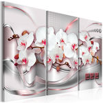 Paris Prix Tableau Imprimé  Wonderful Orchids I. Coloris disponibles : Multicolore