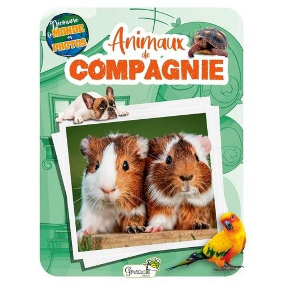 ANIMAUX DE COMPAGNIE, Grenouille