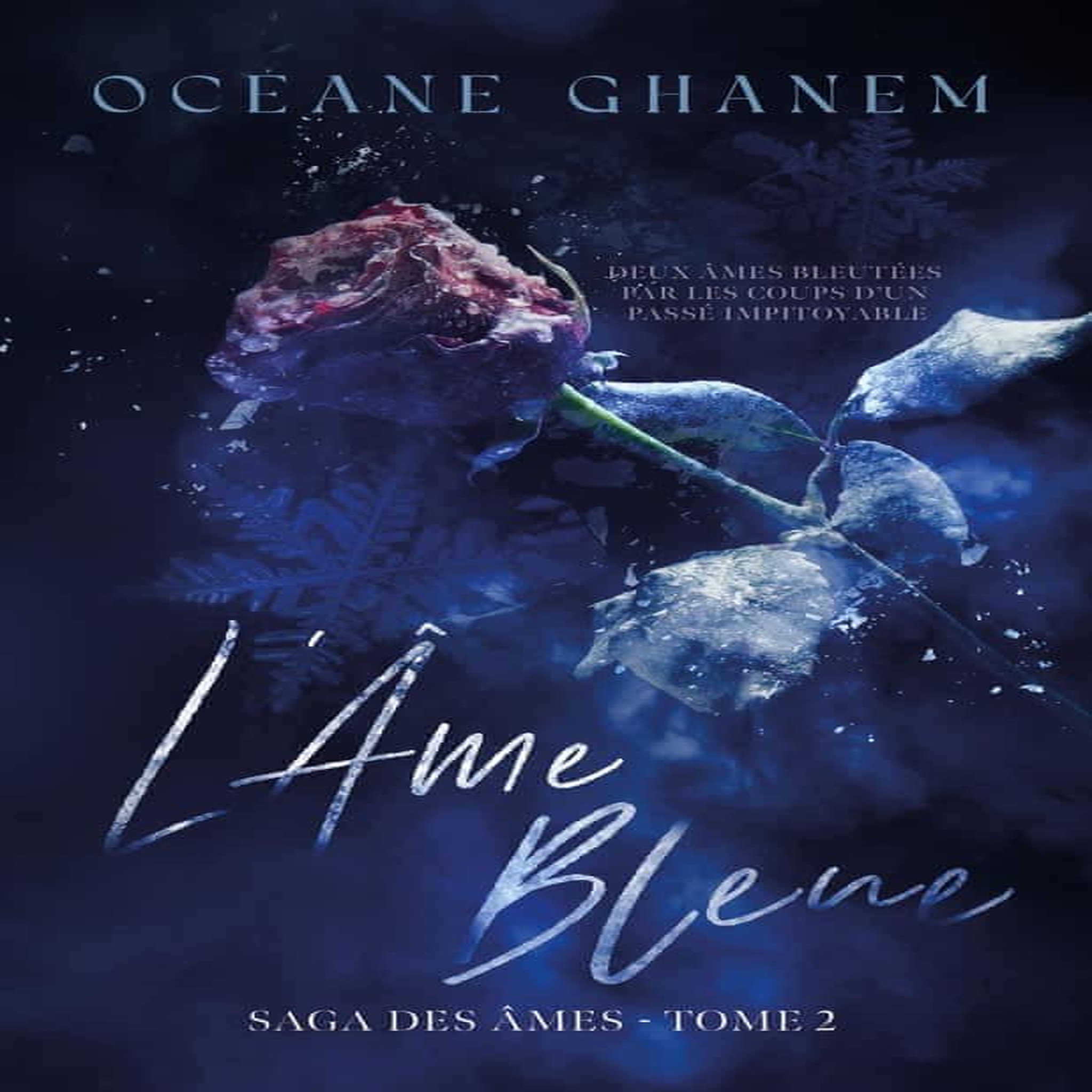 LA SAGA DES AMES : L'AME BLEUE. TOME 2, Ghanem Océane