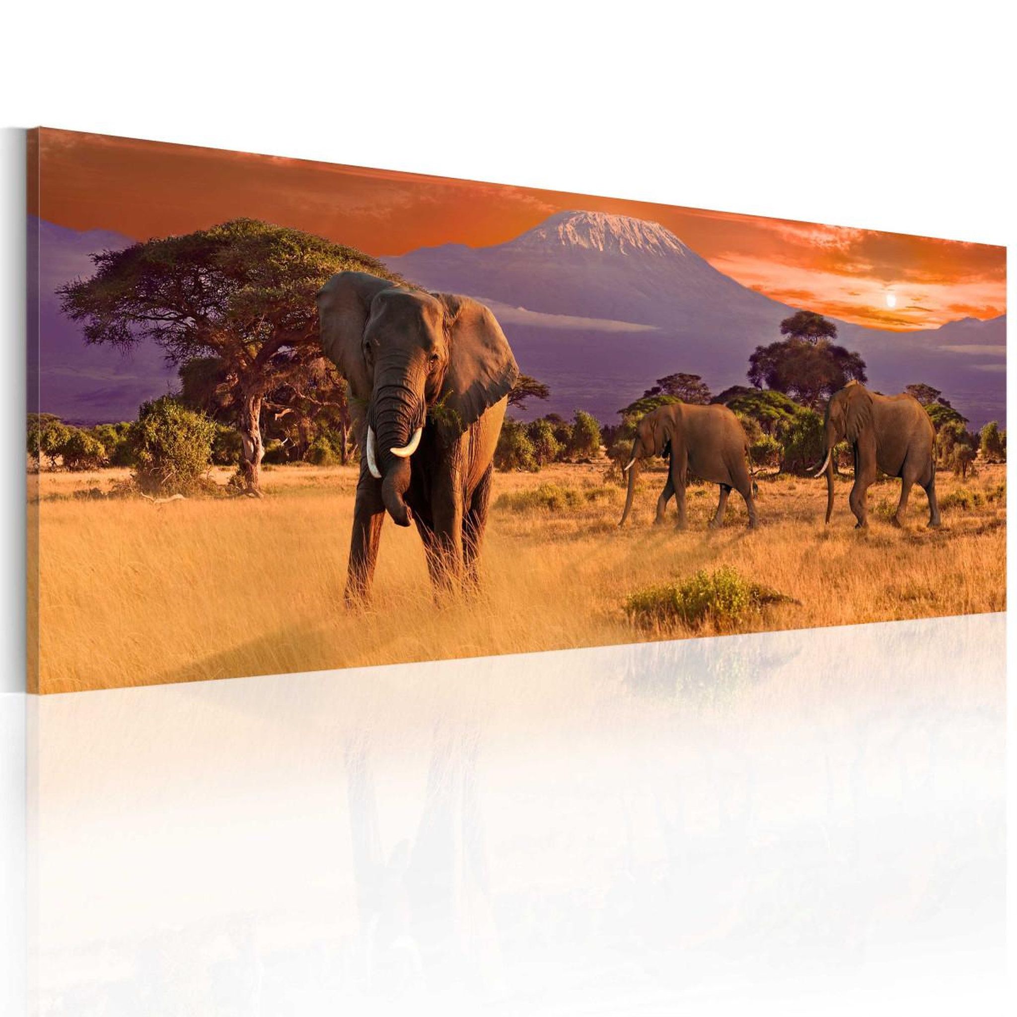 Voir la diapositive 1 : Paris Prix Tableau Imprimé  March of African Elephants