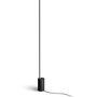 Voir la diapositive 4 : Philips Lampadaire HUE W&C Gradient Sign noir