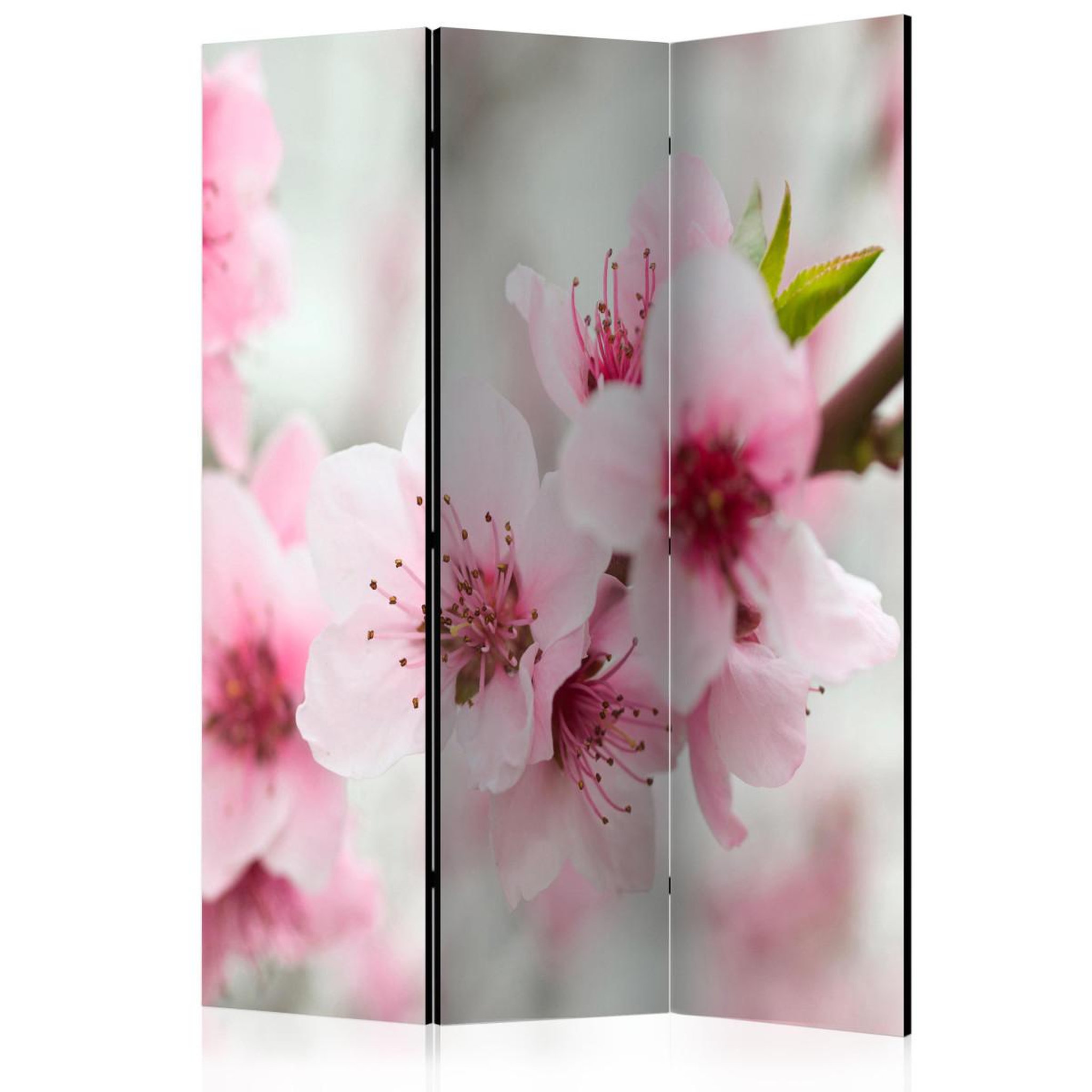 Paris Prix Paravent 3 volets  spring blooming tree pink flowers  135x172cm