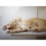 Voir la diapositive 5 : KERBL Kerbl Arbre a chat Timber Wall 150 cm Naturel et taupe