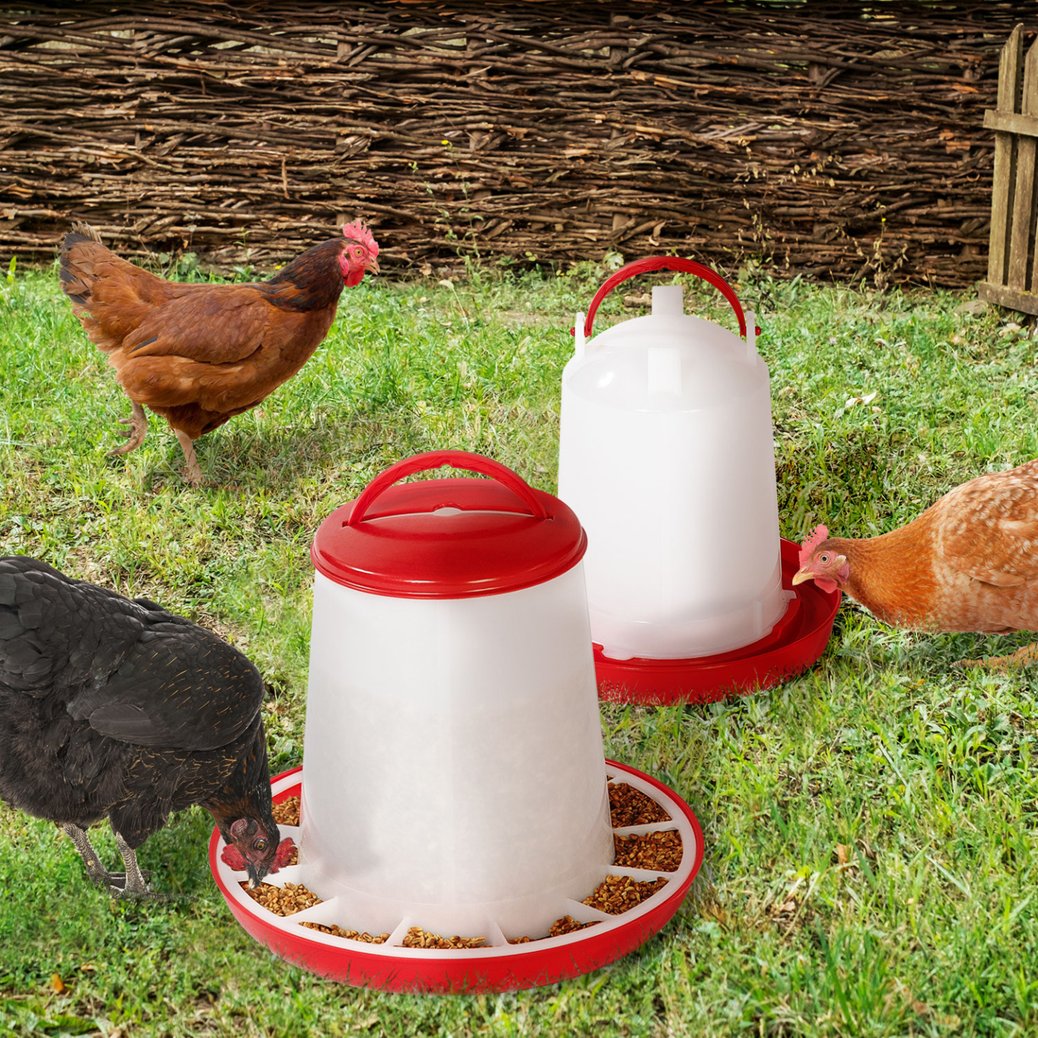 Voir la diapositive 2 : ID MARKET Lot mangeoire 3 kg et abreuvoir 3l pour poules et volailles