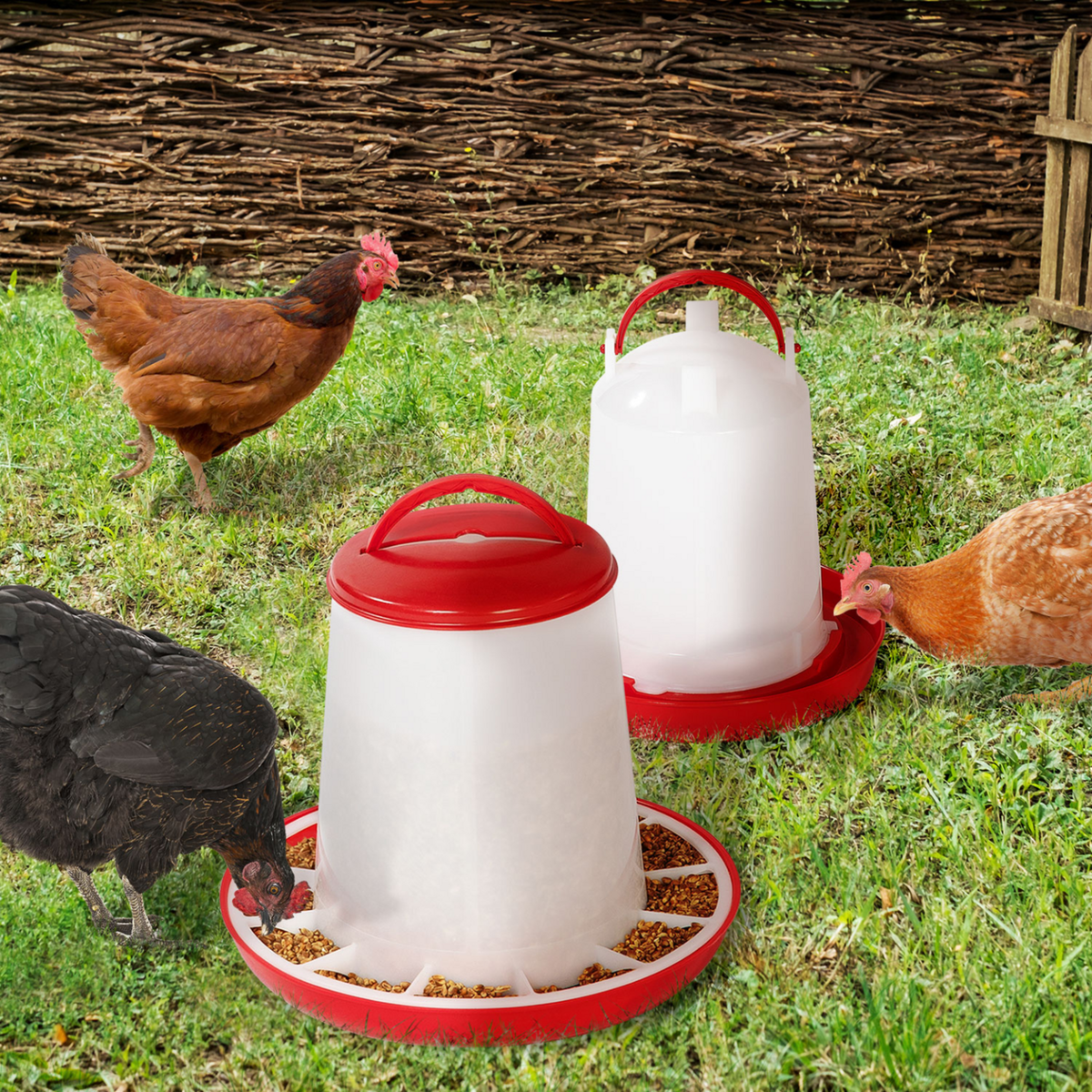ID MARKET Lot mangeoire 3 KG et abreuvoir 3L pour poules et volailles