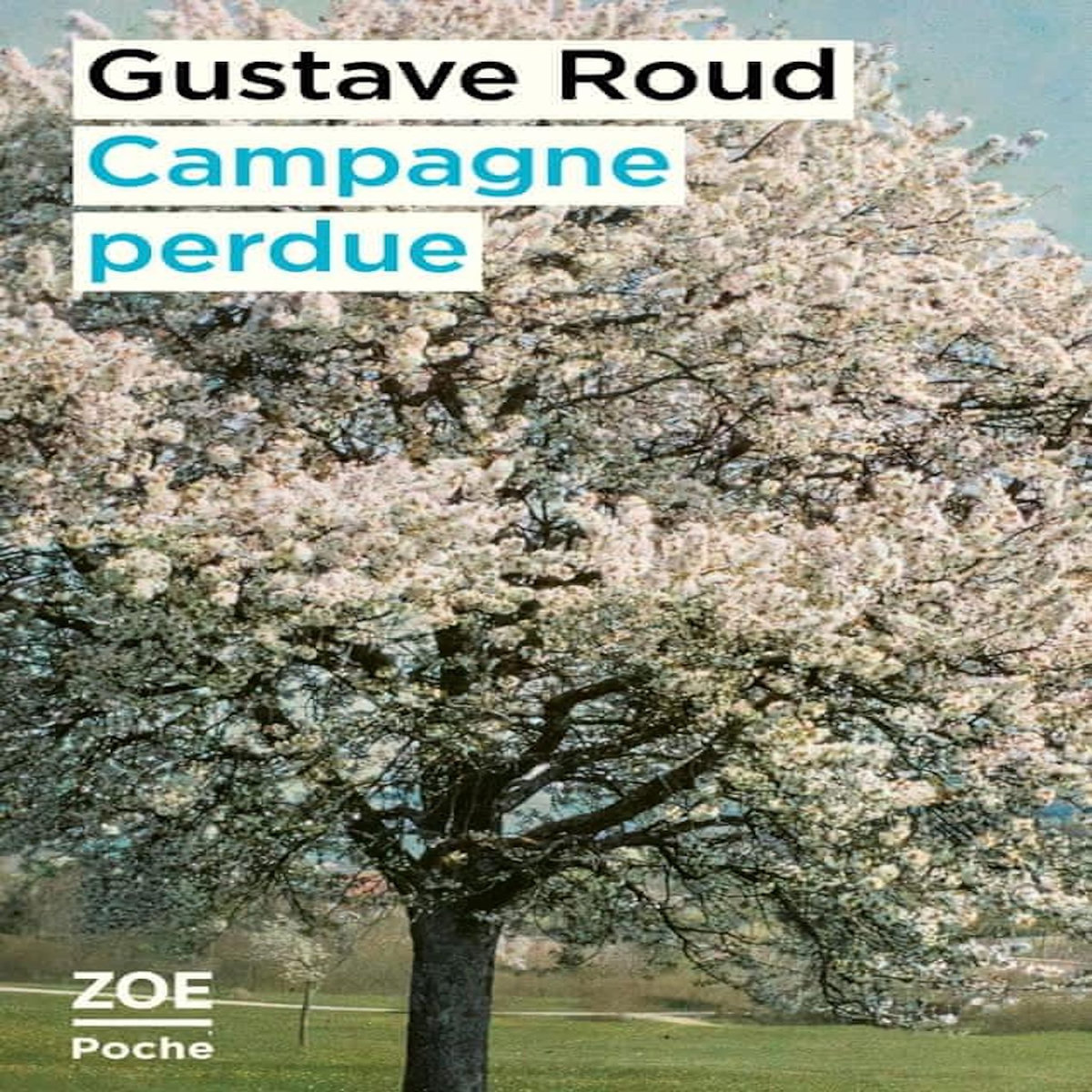 CAMPAGNE PERDUE, Roud Gustave